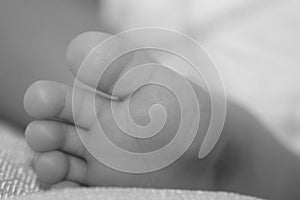 Closeup new born infant baby feet. black and white