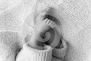 Closeup of a newborn baby feet