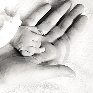 Closeup newborn baby holding his mothers finger