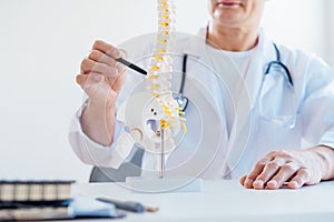 Closeup no face medical male doctor pointing on human spine model with a pen sitting in his office. Spinal healthcare