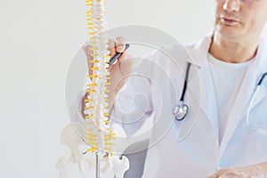 Closeup no face medical male doctor pointing on human spine model with a pen sitting in his office. Spinal healthcare