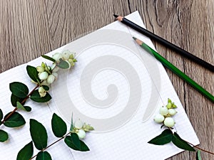 Closeup of notebook and pencils on wooden background. Decorated with green snowberry branches. Top view, flat lay