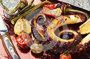 Closeup octopus tentacles