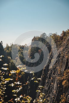 a closeup of od quarry already being reforested photo