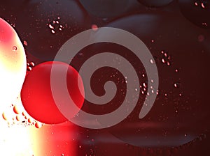 Closeup oil droplets with red, black light background and shiny