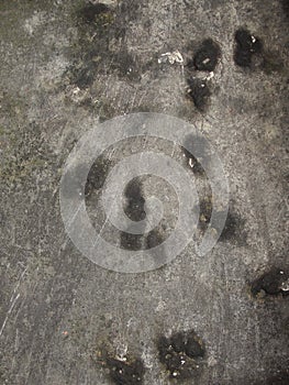 Closeup Old beton wall. Abstract background.