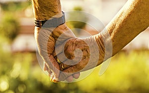 Closeup of an old couple holding hands under the sunlight with a blurry background