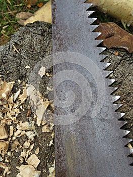 Closeup of an old and rusty antique handsaw