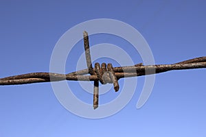 Closeup old rusty barbed wire and trace of the plane