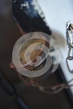 Closeup of an old rusty lock on a metallic door with a blurry background