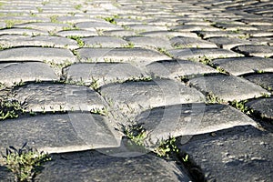 Closeup of old vintage European cobblestone road and small plants