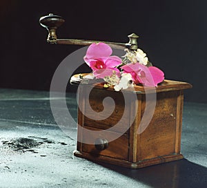 Closeup of an old vintage handmill with pink orchid flowers, on a wet table, illuminated by light