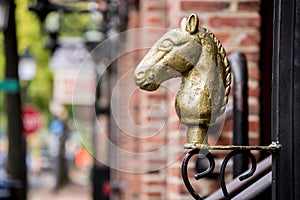 Gilded brass horse head ornament in historic downtown Alexandria Virginia photo