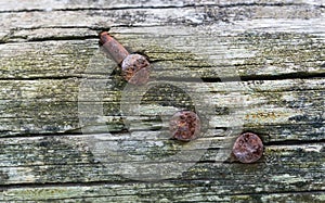 Closeup of old wood background with three rusty nails.