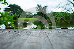 closeup. old wood floor among nature with tree and river are background in the morning. image for natural, plant, scenery, travel