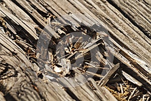 Closeup of Old Wood Weathered Patio Deck Boards