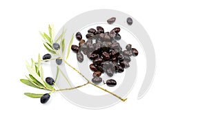 Closeup of an olive branch with ripe black olives on a white background
