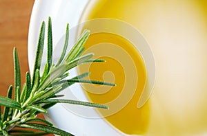 Closeup of olive oil in a white bowl and fresh rosemary