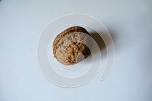 Closeup of one brown rounded wrinkly fruit of Persian walnut