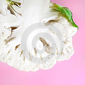 Closeup one half head fresh organic cauliflower on a bright pink background. Minimalistic, natural, lifestyle.Concept food blog,