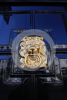 Closeup of one isolated antique old lion head face door knocker with ring at shiny polished black wood door