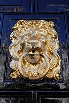 Closeup of one isolated antique old lion head face door knocker with ring at shiny polished black wood door