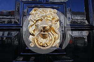 Closeup of one isolated antique old lion head face door knocker with ring at shiny polished black wood door