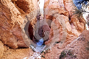 The Hoodoos, Bryce Canyon, Utah, USA