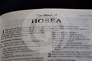 Closeup of an open page of the book of hosea with partly blurred text