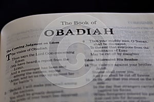 Closeup of an open page of the book of obadiah with partly blurred text