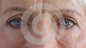 Closeup for optical vision exam of a senior woman looking for glasses to improve her eyesight. Eyes of a mature female