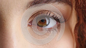 Closeup for optical vision exam of a woman looking for lenses or glasses to improve eyesight. Face portrait of a young