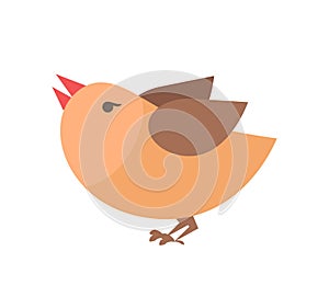Closeup of Orange Bird on Vector Illustration