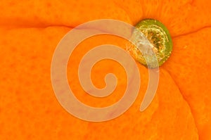 Closeup of orange fruit to show texture photo