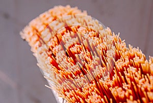 Closeup orange old cleaning brush bristle