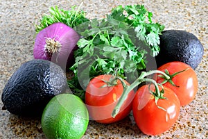 Closeup organic fresh salsa ingredients red onion cilantro tomato avocado lime