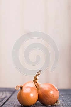 Closeup of organic ripe onions photo