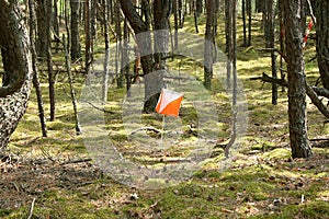 Closeup of Orienteering marker