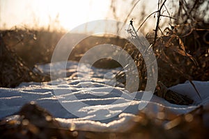 Closeup of patch of snow and prairie grass at sunset