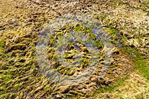 Closeup pattern of Biebrza river Bagno Lawka wetlands in spring aside Carska Droga in Podlsasie region of Poland photo