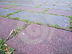 Closeup of pavement with grass