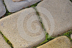 Closeup of paving stones track with a moss.