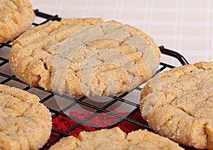 Closeup of Peanut Butter Cookies