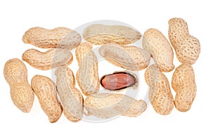 Closeup Peanuts in nutshell and peeled peanuts on white background. Top view