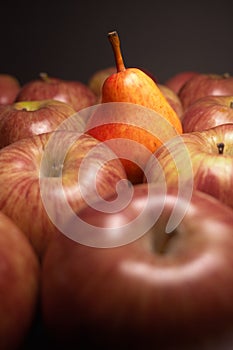 Closeup of pear and apples (one different)