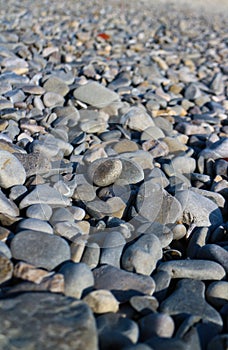 Closeup of pebbles at the pebble beaches of Nice