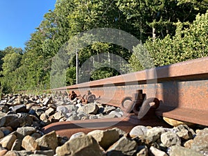 Closeup of pebbles under rusty old train rails surrounded by lush trees in a sunny wilderness