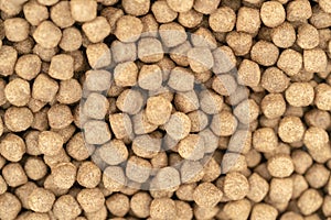 Closeup pellet Fish Feed in industrial feed pellet mill