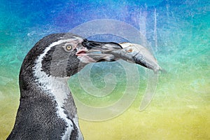 Closeup of a penguine with a fish