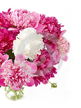 Closeup of peony flowers, fluffy pink peonies flowers, peony bunch in vase